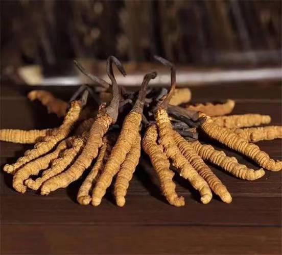 众兴菌业“转向”：终止金针菇项目 加码冬虫夏草、双孢菇