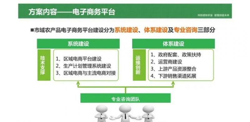 电商生态建设：开创数字经济新纪元