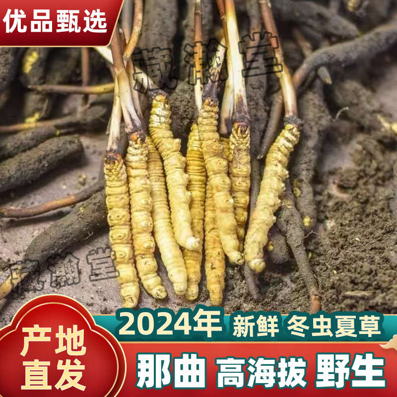 众兴菌业： 关于全资子公司投资实施改造项目的公告