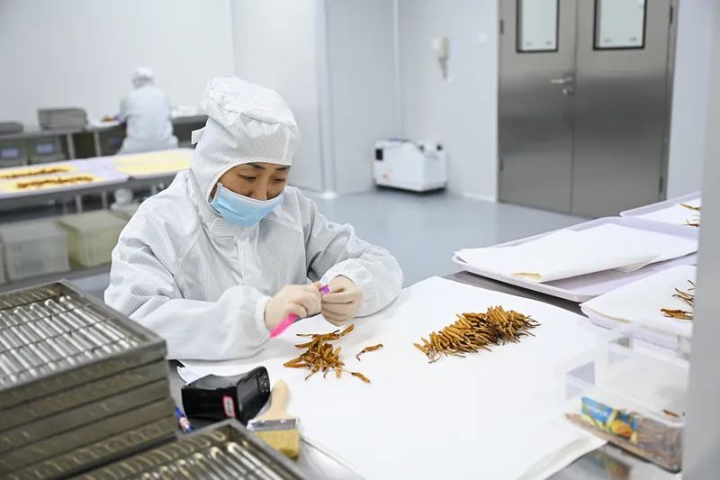 全球最大、世界首创就在宜昌!(图3)