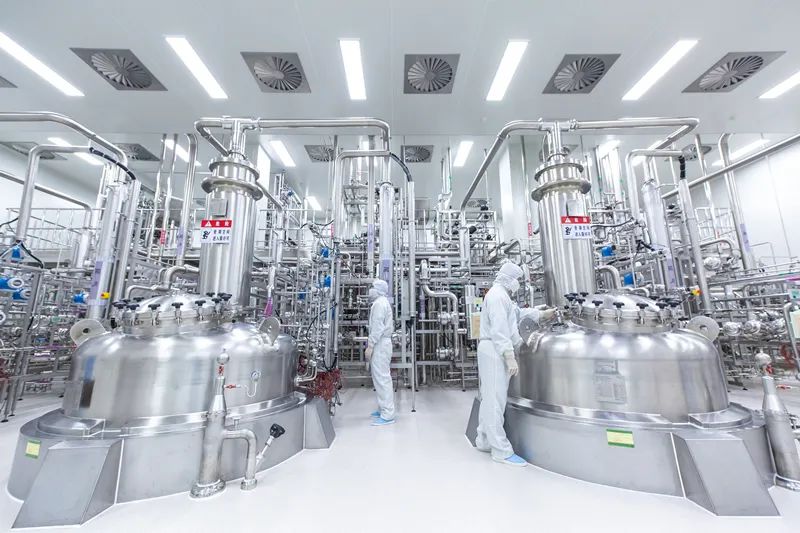 全球最大、世界首创就在宜昌!(图6)