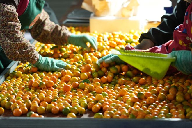 拼多多2024财报:高质量发展进入收获期全年营收3938亿人民币(图1)