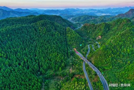 首次监测到珍稀虫草!贵阳这样守护生物“多样”精彩(图5)