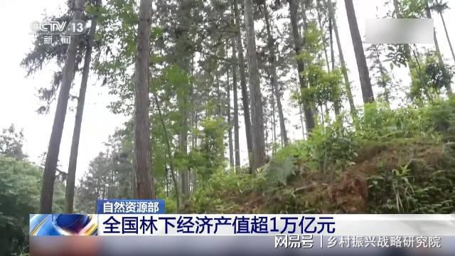 林下经济高质量发展的机遇与挑战——全国典型案例的实践分析报告(图1)