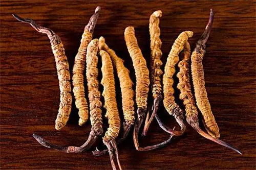 逆势增长！2024上半年冬虫夏草出口表现抢眼