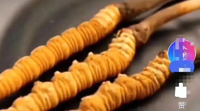 女保姆偷吃雇主家 4 万元虫草还打包带给自己老公和孩子吃(图1)