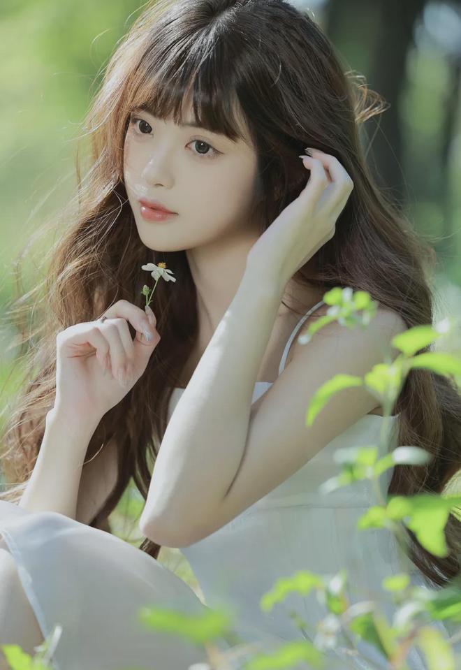 免费嫩叶草2024新地扯(图1)