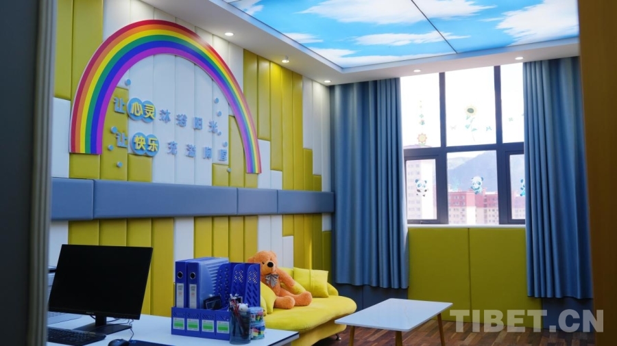 【平安西藏·昌都行】法治阳光照亮雪域高原:“雪莲花”团队为昌都未成年人筑牢安全防线(图3)