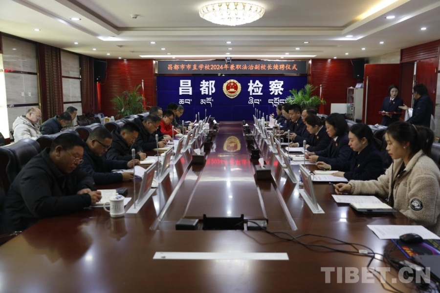 【平安西藏·昌都行】法治阳光照亮雪域高原:“雪莲花”团队为昌都未成年人筑牢安全防线(图6)