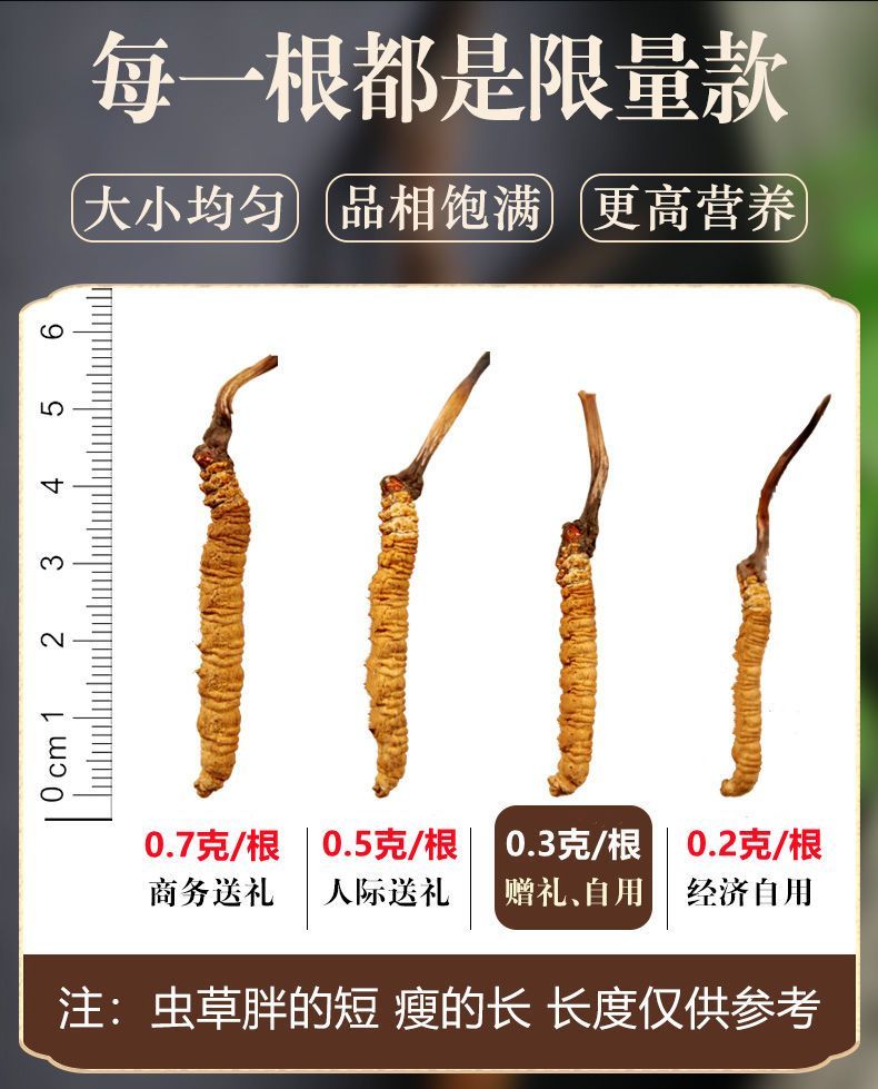 关于2024年度“种草·喜马拉雅”人工牧草种植项目公开征集评估结果的公示