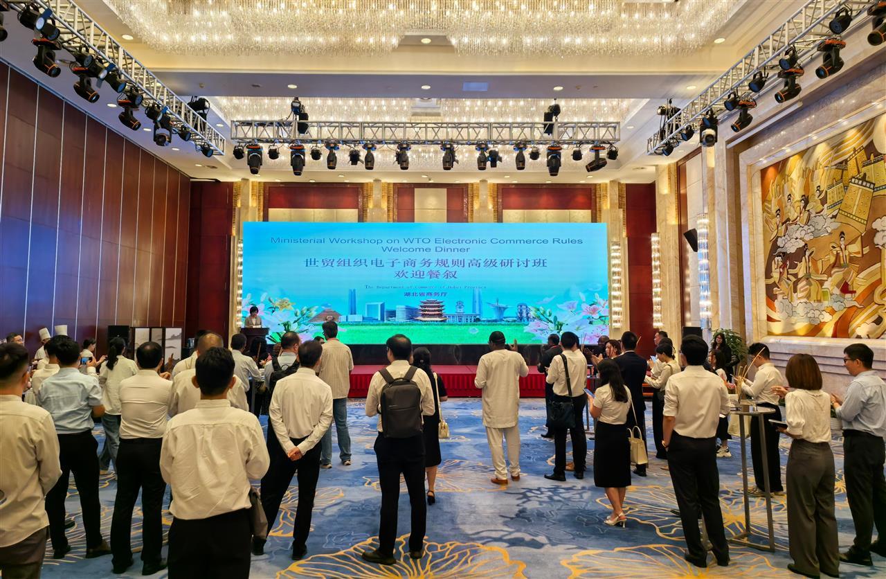 世贸组织电子商务规则高级研讨班来鄂调研(图1)