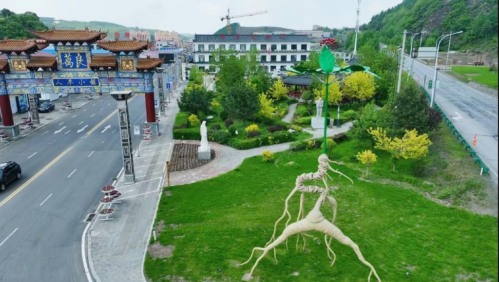 数智新时代 电商新价值丨数字动能驱动新业态崛起——看吉林省新电商业态创新发展之路(图5)