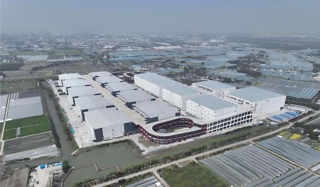 搭上跨境电商先行区顺风车上海白鹤草莓进军中东市场(图1)