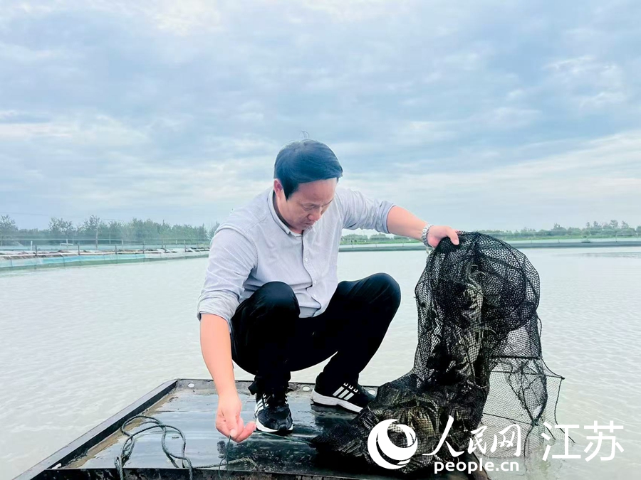 江苏泗洪:全民创业激活县域经济(图1)