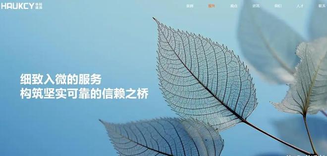 网站搭建公司最新权威榜!2025年严选十强企业官网制作网站建设公司(图2)