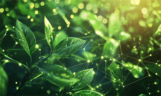 2025-2030农产品电商行业投资:决胜关键在供应链(图1)