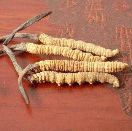 墨竹众创空间的个人主页