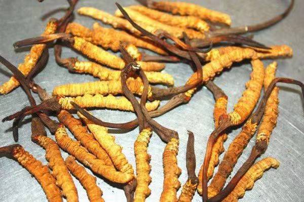 【新时代 新征程 新伟业·高质量发展调研行】澜沧江畔产业花开正当时——青海县域经济发展观察·囊谦篇