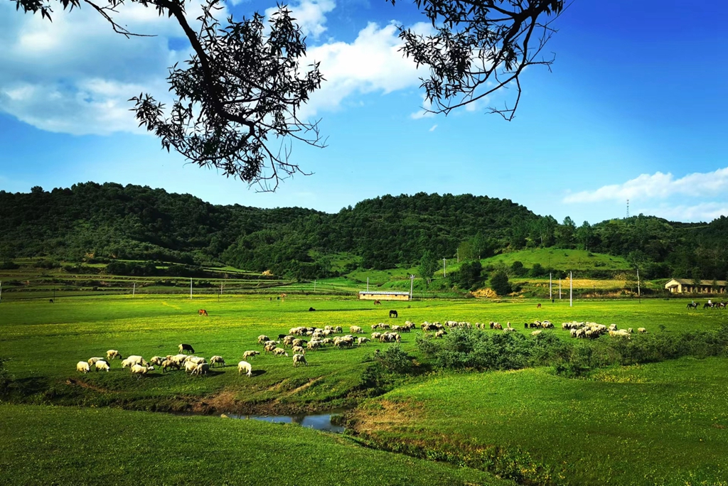 天水这五年招商引资交出硬核答卷(图1) 天水这五年招商引资交出硬核答卷