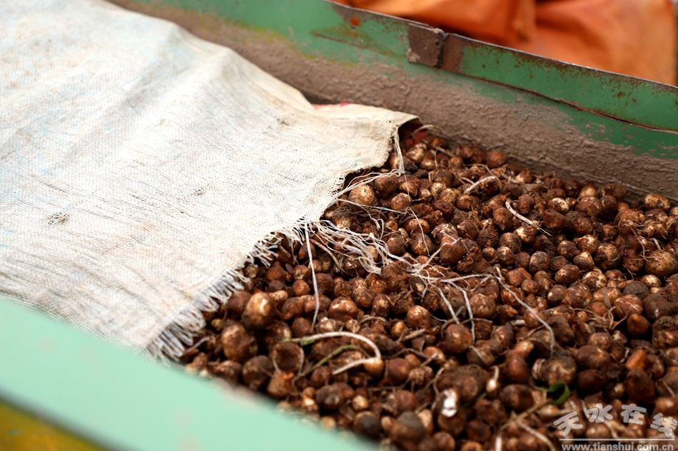 天津市取暖补贴发放标准+时间