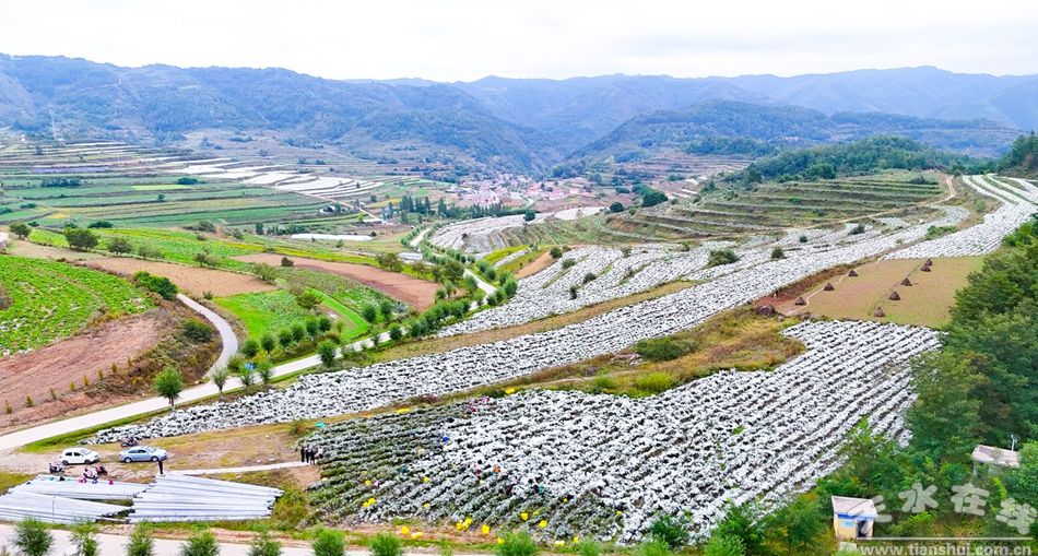 2026北京公租房最新消息(各区项目持续更新)