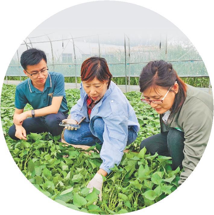 科技赋能 农业更现代(图1)