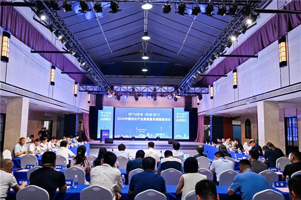 2026-2030年中国跨境电子商务行业：物流基建与独立站确定性增长赛道