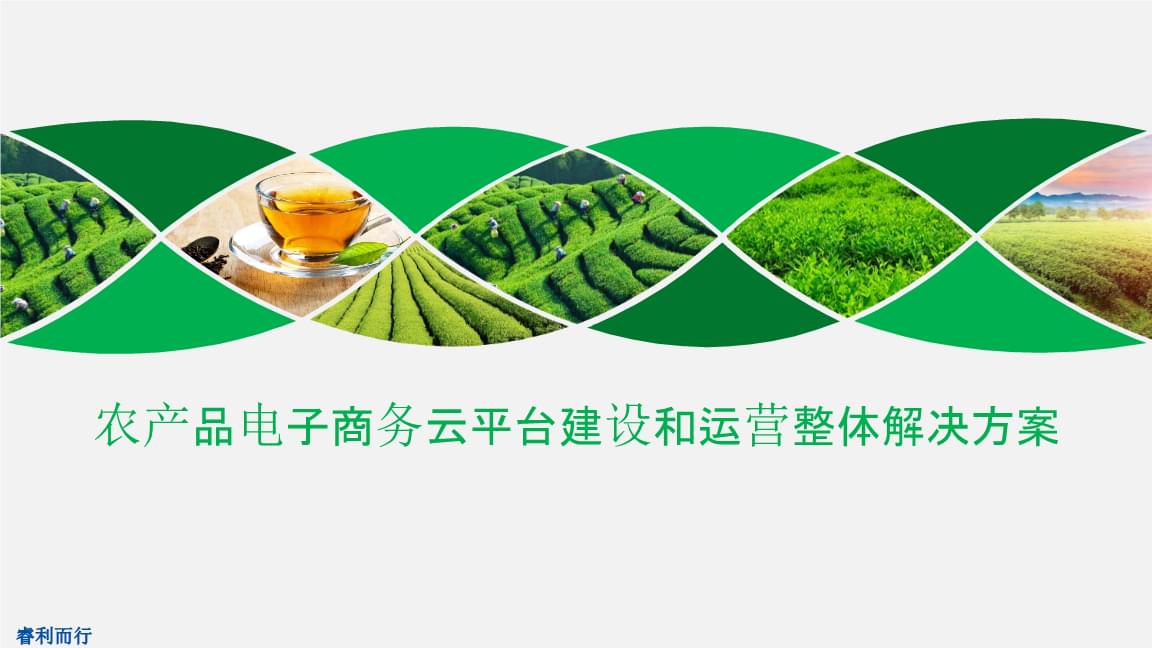 地方电商平台开发公司数商云：2026年区域电商生态建设的技术赋能者