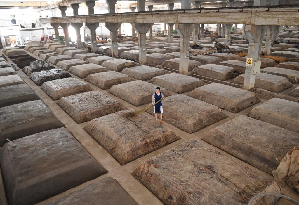 2026-2030年中国婴儿辅食机行业发展趋势与投资价值深度解析
