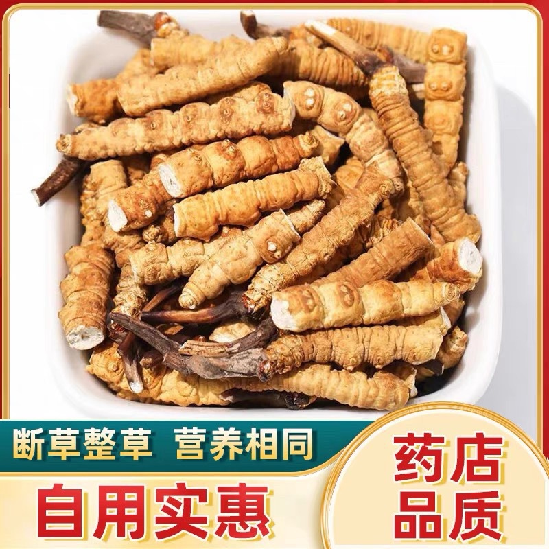 虫草的功效与作用有哪些两种虫草的人工栽培方法